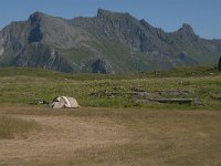 N, Nordland, Flakstad, Fredvang 20, Saxifraga-Jan van der Straaten