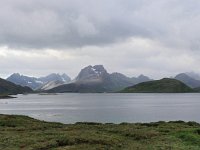 N, Nordland, Flakstad, Ramberg 1, Saxifraga-Hans Dekker