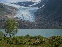 N, Nordland, Meloy, Svartisen 30, Saxifraga-Jan van der Straaten