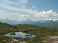 N, Nordland, NP Saltfjellet-Svartisen, Beijar-Rognan 1, Saxifraga-Marjan van der Heiden