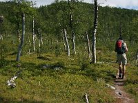 N, Nordland, NP Saltfjellet-Svartisen, Tolladalen 1, Saxifraga-Marjan van der Heiden