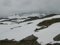 N, Oppland, Lom, Fanarakbreen 3, Saxifraga-Willem van Kruijsbergen