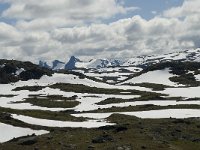 N, Oppland, Lom, Rundhaugan 2, Saxifraga-Willem van Kruijsbergen