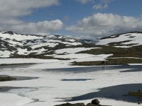 N, Oppland, Lom, Rundhaugan 3, Saxifraga-Willem van Kruijsbergen