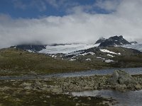 N, Oppland, Lom, Sognefjell 15, Saxifraga-Jan van der Straaten