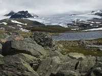 N, Oppland, Lom, Sognefjell 16, Saxifraga-Jan van der Straaten