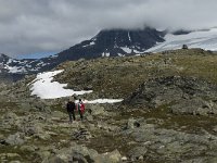 N, Oppland, Lom, Sognefjell 17, Saxifraga-Jan van der Straaten