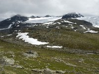 N, Oppland, Lom, Sognefjell 3, Saxifraga-Jan van der Straaten