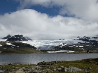 N, Oppland, Lom, Sognefjell 8, Saxifraga-Jan van der Straaten