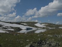 N, Oppland, Lom, Sognefjellet 13, Saxifraga-Jan van der Straaten