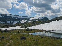 N, Oppland, Lom, Sognefjellet 17, Saxifraga-Jan van der Straaten