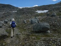 N, Oppland, Lom, Sognefjellet 19, Saxifraga-Jan van der Straaten