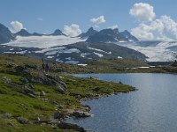 N, Oppland, Lom, Sognefjellet 2, Saxifraga-Jan van der Straaten