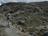 N, Oppland, Lom, Sognefjellet 29, Saxifraga-Jan van der Straaten