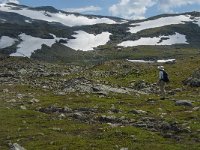 N, Oppland, Lom, Sognefjellet 35, Saxifraga-Jan van der Straaten