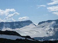 N, Oppland, Lom, Sognefjellet 50, Saxifraga-Jan van der Straaten