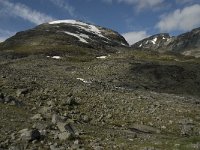 N, Oppland, Lom, Storebreen 14, Saxifraga-Willem van Kruijsbergen