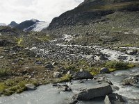 N, Oppland, Lom, Storebreen 17, Saxifraga-Willem van Kruijsbergen