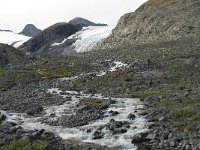 N, Oppland, Lom, Storebreen 2, Saxifraga-Willem van Kruijsbergen