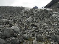 N, Oppland, Lom, Storebreen 23, Saxifraga-Willem van Kruijsbergen