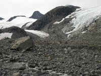 N, Oppland, Lom, Storebreen 3, Saxifraga-Willem van Kruijsbergen