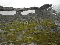 N, Oppland, Lom, Storebreen 7, Saxifraga-Willem van Kruijsbergen