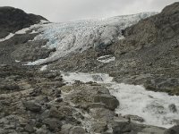 N, Oppland, Lom, Storebreen 8, Saxifraga-Willem van Kruijsbergen