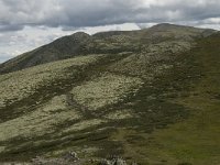 N, Oppland, Nord-Fron, Kvam, Middagshausen 1, Saxifraga-Willem van Kruijsbergen