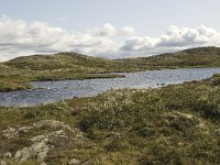 N, Oppland, Sel, Holtjonne 1, Saxifraga-Willem van Kruijsbergen