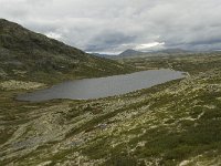 N, Oppland, Sel, Hovringsvatnet 6, Saxifraga-Willem van Kruijsbergen