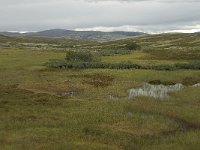 N, Oppland, Sel, Hovringsvatnet 7, Saxifraga-Willem van Kruijsbergen