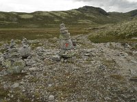 N, Oppland, Sel, Hovringsvatnet 9, Saxifraga-Willem van Kruijsbergen