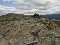 N, Oppland, Sel, Kluftaathaugen 2, Saxifraga-Willem van Kruijsbergen