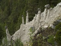 N, Oppland, Sel, Kvitskriuprestene 3, Saxifraga-Willem van Kruijsbergen