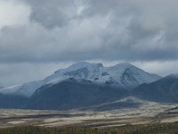 N, Oppland, Sel, Mysuseter 109, Saxifraga-Annemiek Bouwman