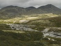 N, Oppland, Sel, Smiubelgin 6, Saxifraga-Willem van Kruijsbergen