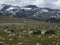 N, Oppland, Vaga, Bygdin 10, Saxifraga-Jan van der Straaten