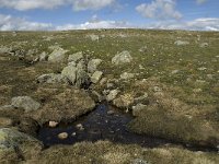 N, Oppland, Vaga, Bygdin 4, Saxifraga-Jan van der Straaten