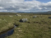 N, Oppland, Vaga, Bygdin 5, Saxifraga-Jan van der Straaten