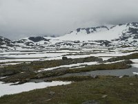 N, Sogn og Fjordane, Luster, Fanaraki 3, Saxifraga-Willem van Kruijsbergen