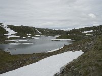 N, Sogn og Fjordane, Luster, Galgebergstjornane 3, Saxifraga-Willem van Kruijsbergen