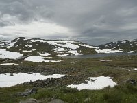 N, Sogn og Fjordane, Luster, Gjuvvatnet 2, Saxifraga-Willem van Kruijsbergen