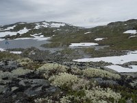 N, Sogn og Fjordane, Luster, Hervavatnet 5, Saxifraga-Willem van Kruijsbergen