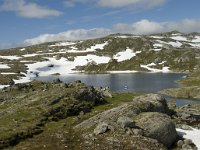 N, Sogn og Fjordane, Luster, Hervavatnet 6, Saxifraga-Willem van Kruijsbergen