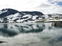 N, Sogn og Fjordane, Luster, Hervavatnet 8, Saxifraga-Willem van Kruijsbergen