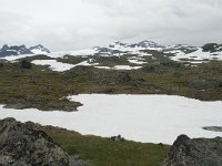 N, Sogn og Fjordane, Luster, Korpen 4, Saxifraga-Willem van Kruijsbergen