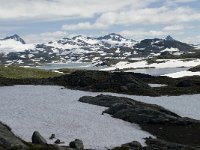 N, Sogn og Fjordane, Luster, Korpen 7, Saxifraga-Willem van Kruijsbergen