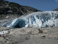 N, Sogn og Fjordane, Luster, Nigardsbreen 18, Saxifraga-Jan van der Straaten