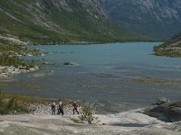 N, Sogn og Fjordane, Luster, Nigardsbreen 27, Saxifraga-Jan van der Straaten