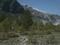 N, Sogn og Fjordane, Luster, Nigardsbreen 32, Saxifraga-Marijke Verhagen